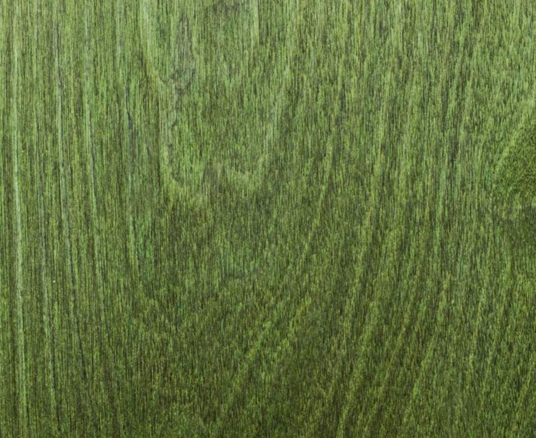 Farvet Birk Forest Green