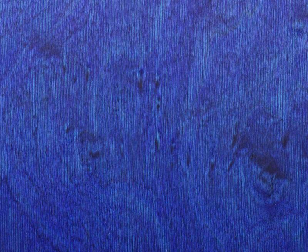 Farvet Birk Royal Blue